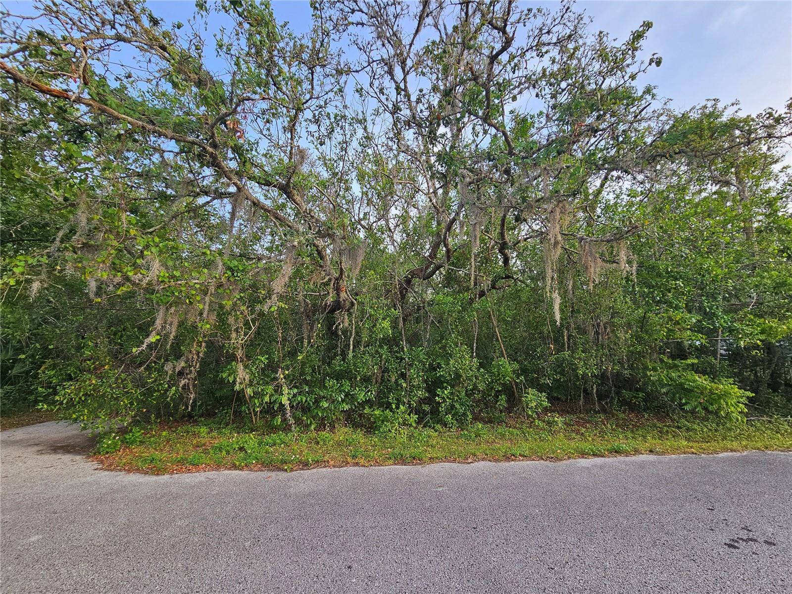 Welcome to your vacant land open canvas property at Moon Lake Estates! This plot of land residential land is available for you to use to build your dream home or to keep as an investment. This up and coming neighborhood of Moon Lake Estates boasts quiet roads and an amazing Moon Lake public Park, nestled on Moon Lake. This property is not located in a flood zone, so no flood insurance is required. Return to a quiet, more simple way of life with your new land purchase. The sellers for this plot are also selling multiple other plots of land in Moon Lakes Estates. Please inquire with your real estate agent or with the listing agent for more information. All statements in the listing are believed to be true and reliable by the seller and listing agent. Buyer and buyer's agent should verify all facts, statements, and measurements.