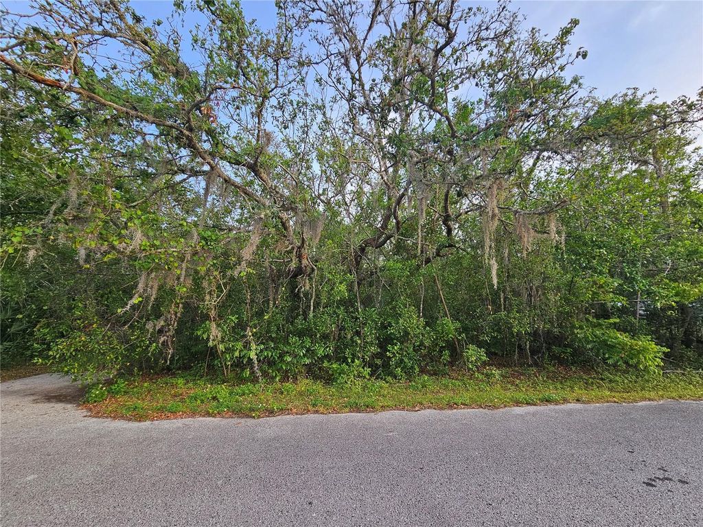 Photo of 00 Valimar Road, New Port Richey, FL 34654 (MLS # TB8383094)