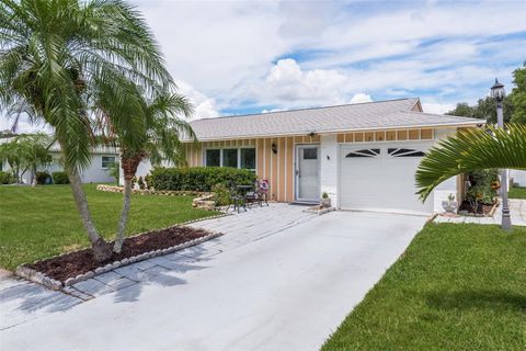 A home in PALM HARBOR