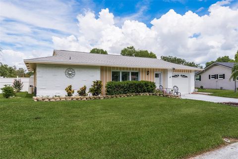 A home in PALM HARBOR