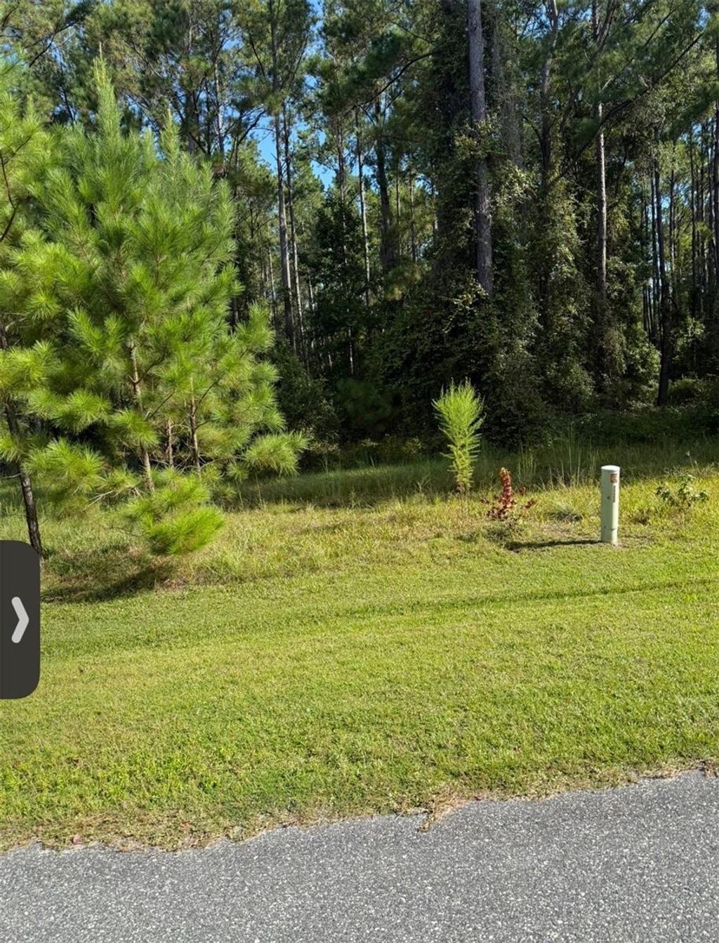 Photo of NW 148th Lane, Williston, FL 32696 (MLS # OM711194)