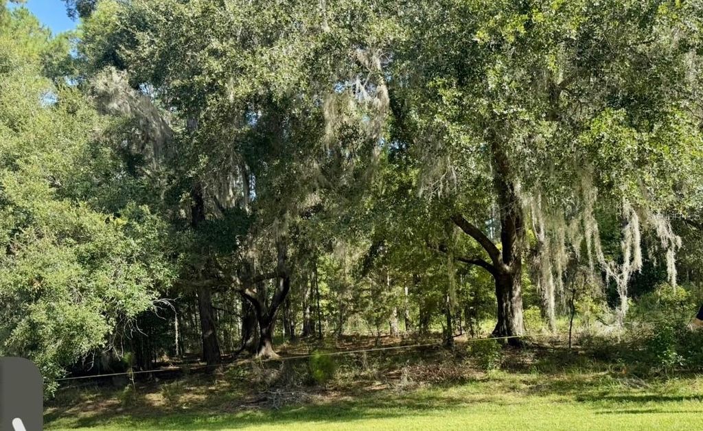Photo of NW 148th Lane, Williston, FL 32696 (MLS # OM711194)