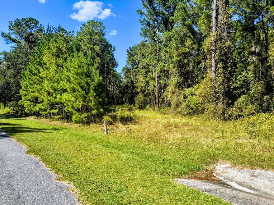 Build your dream home on 3+ private acres in the prestigious, gated, and equine-approved community of The Village at Hidden Lakes. This beautiful and secure subdivision offers the perfect blend of privacy, tranquility, and natural beauty.

Enjoy a peaceful lifestyle surrounded by mature trees, abundant wildlife, and gentle breezes. The spacious parcel provides ample room for your custom home, barn, and horses — ideal for those seeking an equestrian-friendly property in a quiet, safe neighborhood.

Experience country living at its finest, while still being conveniently located near Ocala, Gainesville, and local amenities. The Village at Hidden Lakes is truly a hidden gem — offering serenity, security, and the freedom to create your perfect retreat.