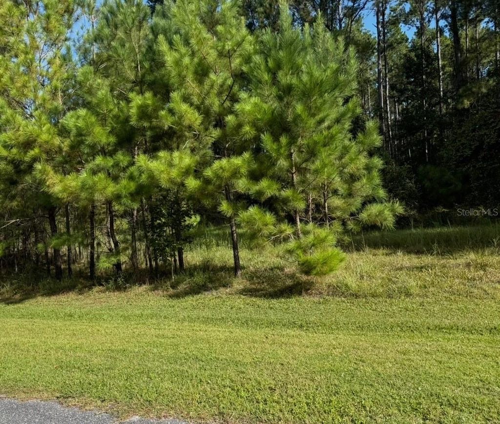 Photo of NW 148th Lane, Williston, FL 32696 (MLS # OM711194)