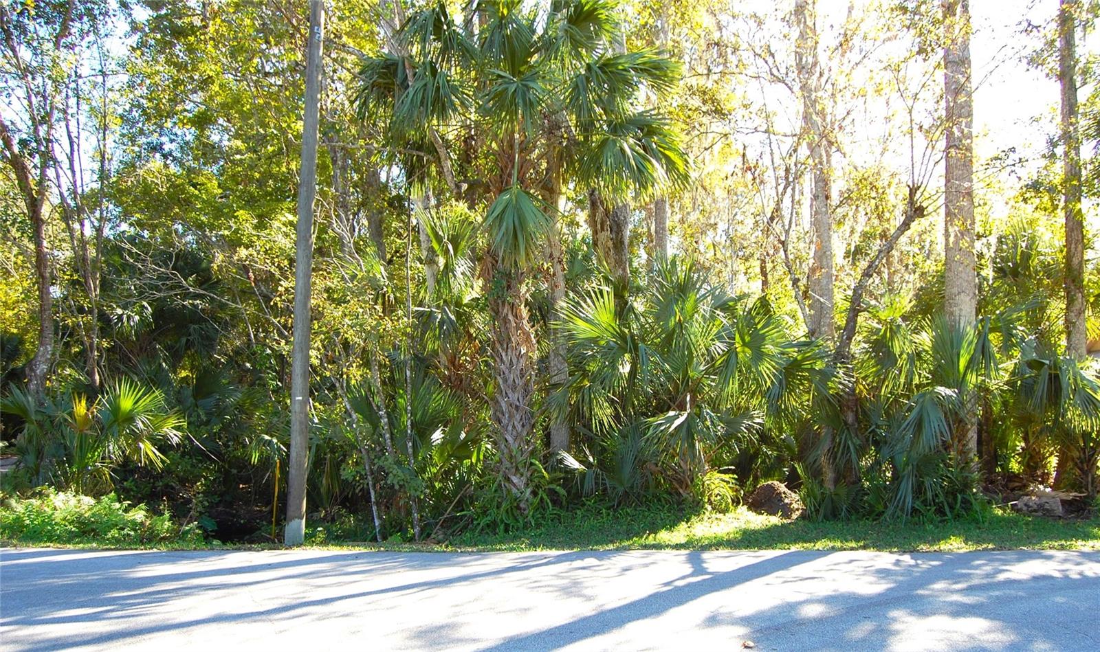 New Smyrna Beach! Great central location in the established neighborhood of Oliver Estates. Build your dream home in this very quiet section of the neighborhood,, there is access from the North and West. There is also easy access to I95 and the shoping and restaurants on 44. It's just a short drive to the Historic Canal Steet entertainment area in Downtown NSB. The beautiful beaches are just another few minutes past Canal St. This location is also just an hour drive to the airport and attractions in Orlando.