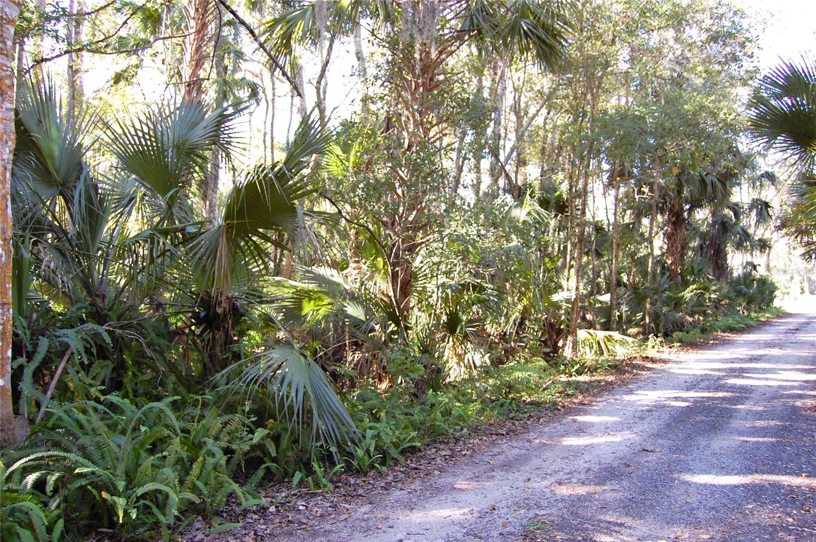 0 PALM DRIVE