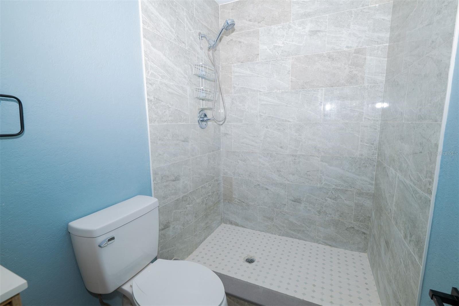 SILVER SPGS SHORES - Residential