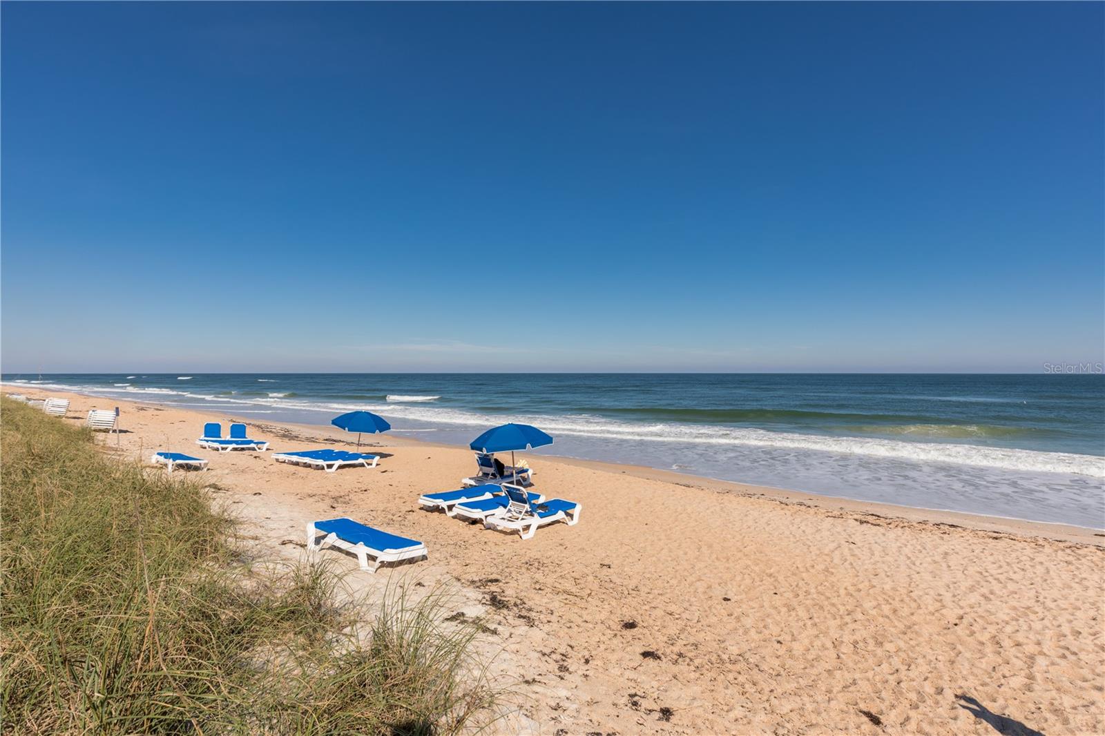 OCEAN HAMMOCK - Land