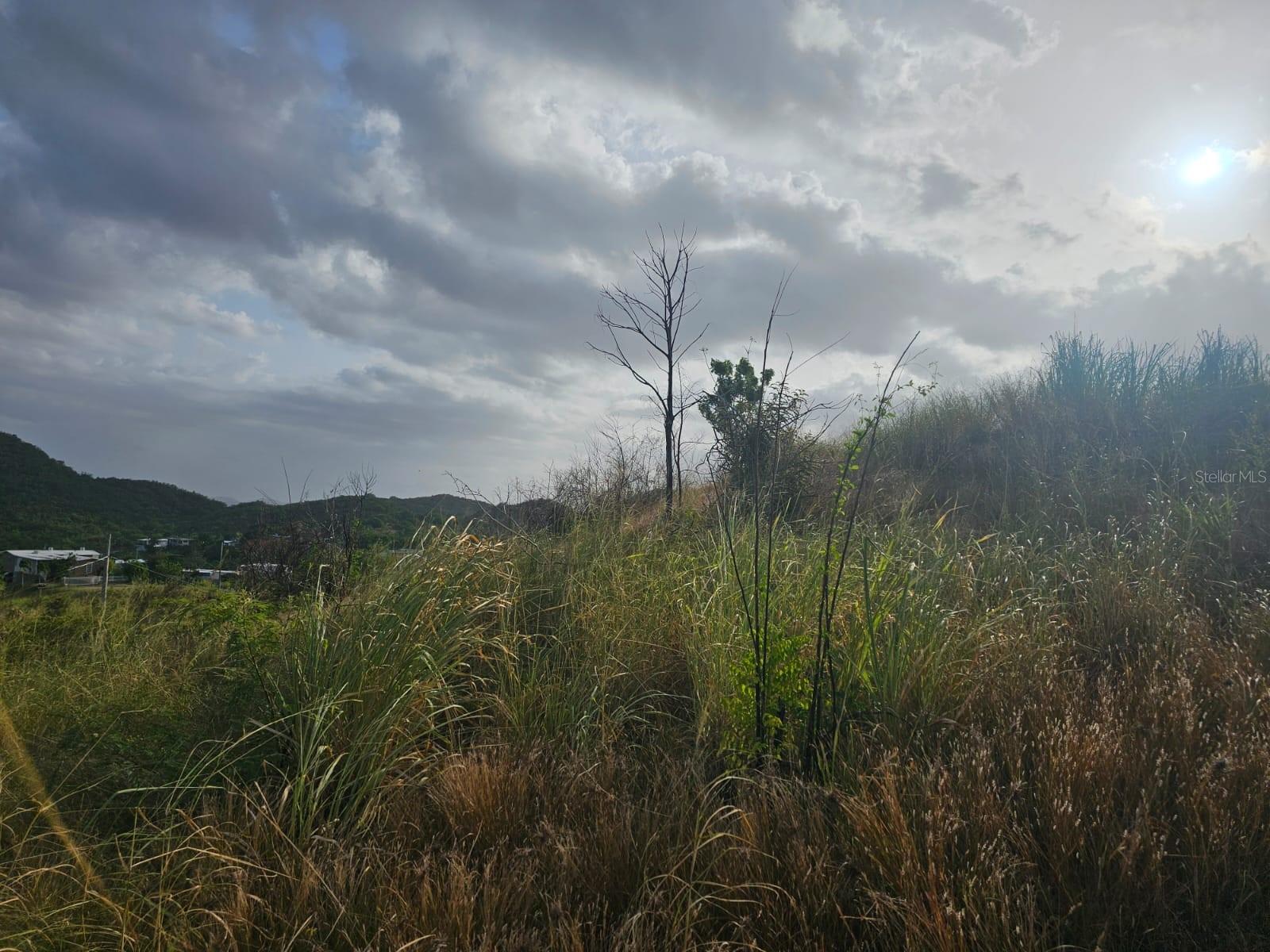 Land for Sale in Machuchal, Sabana Grande, PR!
Looking for a peaceful location with access to utilities to build your home or invest?
This is your opportunity!
Location: Machuchal, Sabana Grande, Puerto Rico
Lot Size:11,700 meters
Utilities Available: Potable water and electricity
Clear title and paperwork
Quiet area with easy access
Perfect for a home, small farm, or investment project
Don't miss out on this opportunity!
