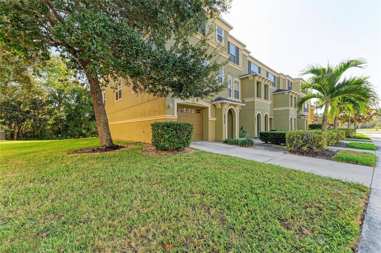 8849 WHITE SAGE LOOP 0