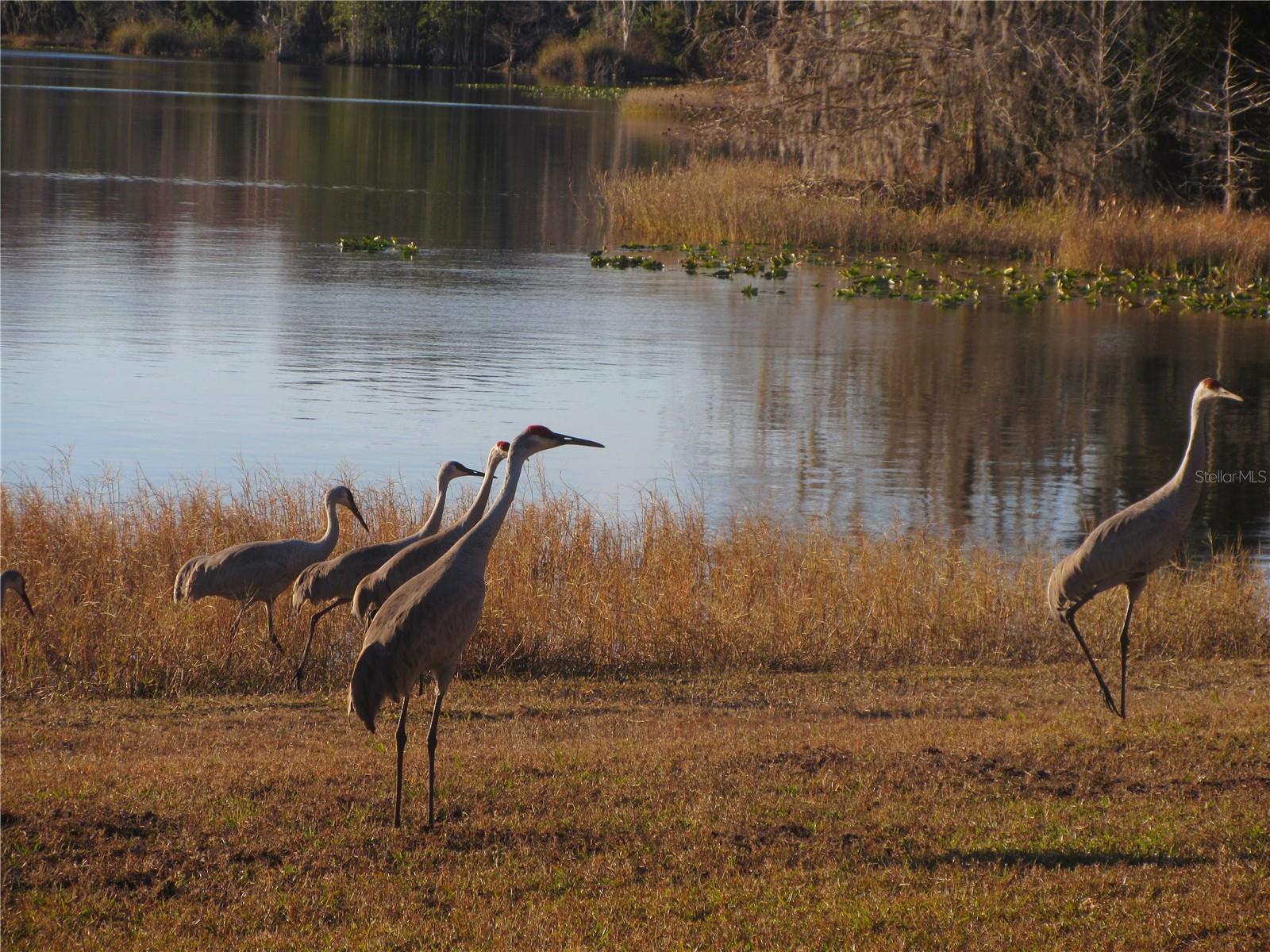 SILVER LAKES ACRES - Residential