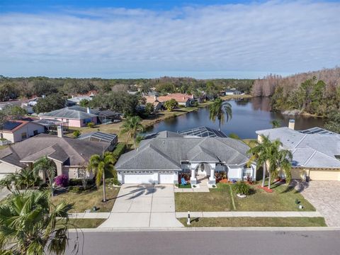 A home in PALM HARBOR