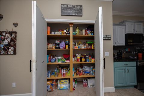 Tiny photo for 5250 NE 160th Avenue, Williston, FL 32696 (MLS # GC536201)