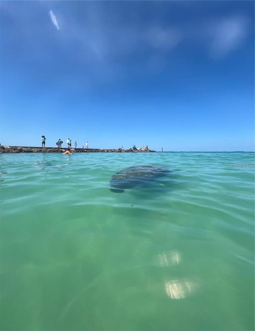 LEMON BAY PARK 1ST ADD - Residential