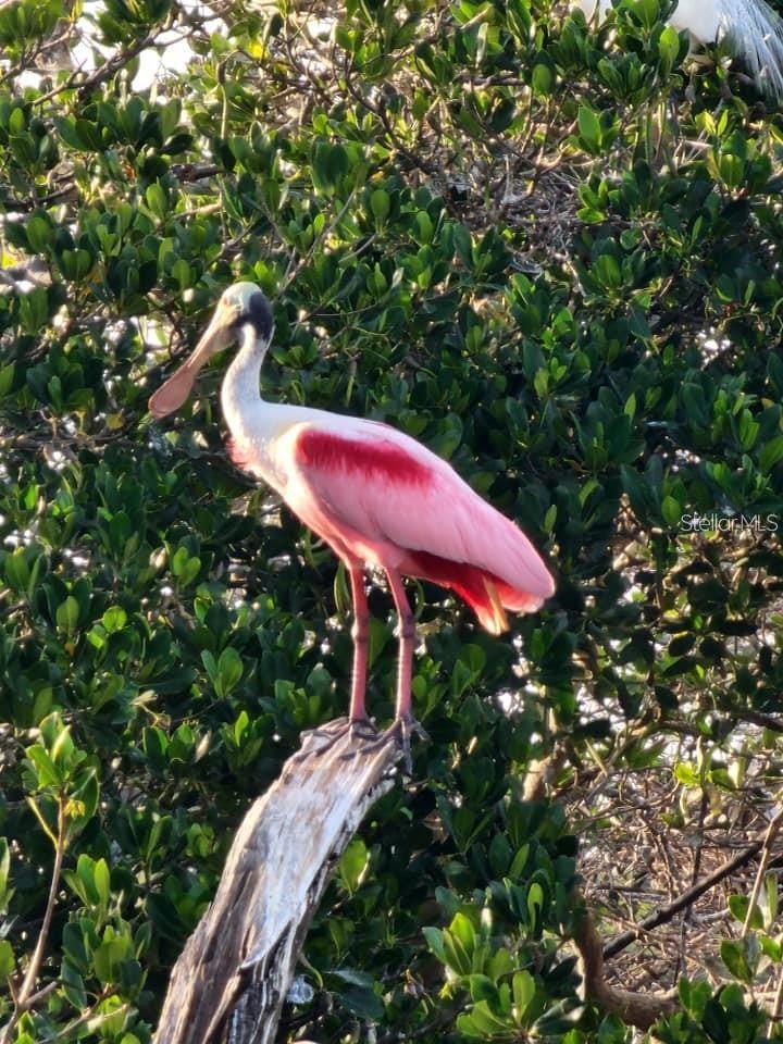 LEMON BAY PARK 1ST ADD - Residential