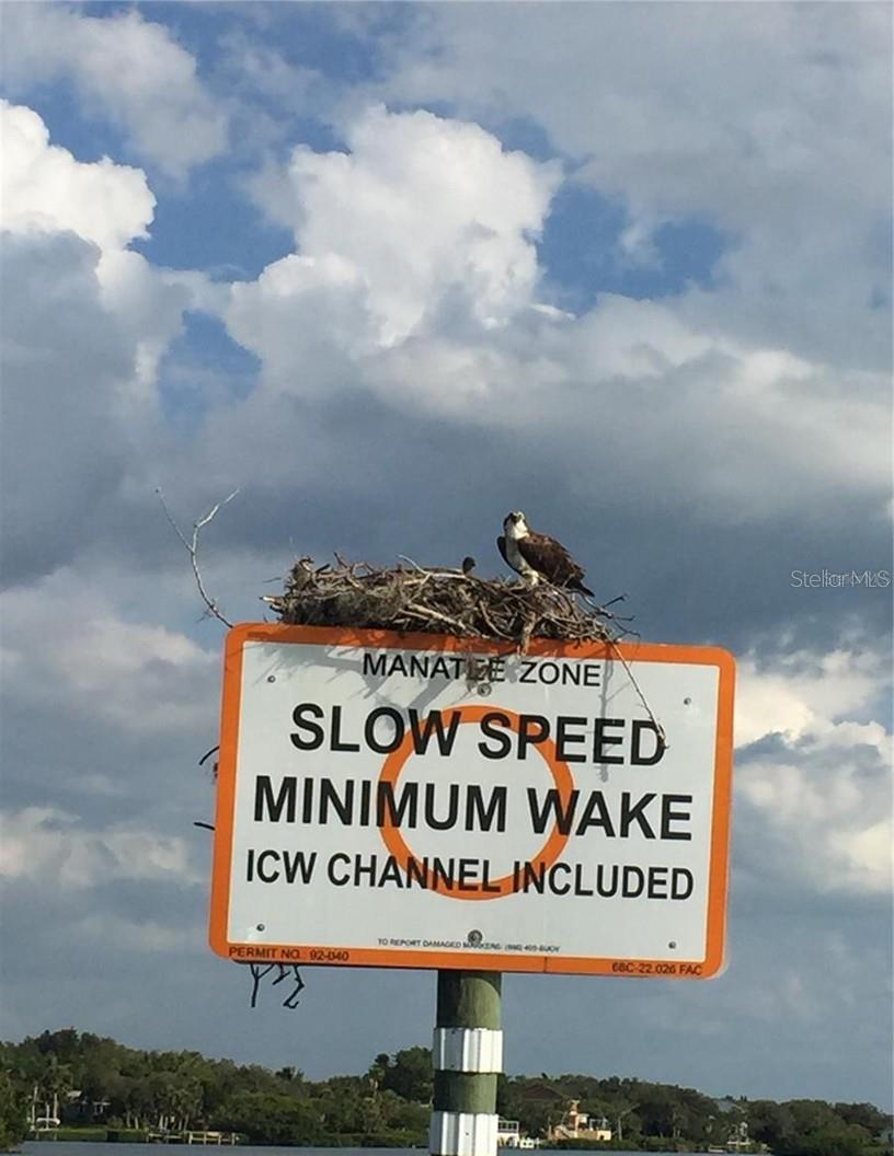 LEMON BAY PARK 1ST ADD - Residential