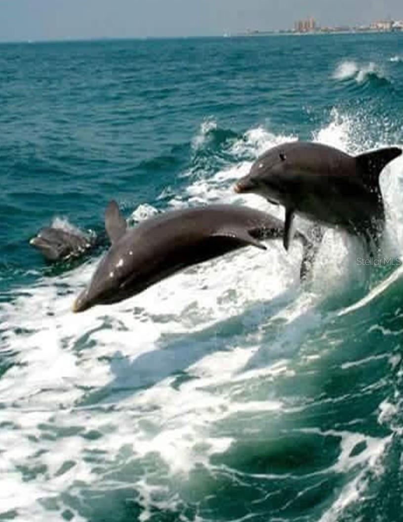 LEMON BAY PARK 1ST ADD - Residential