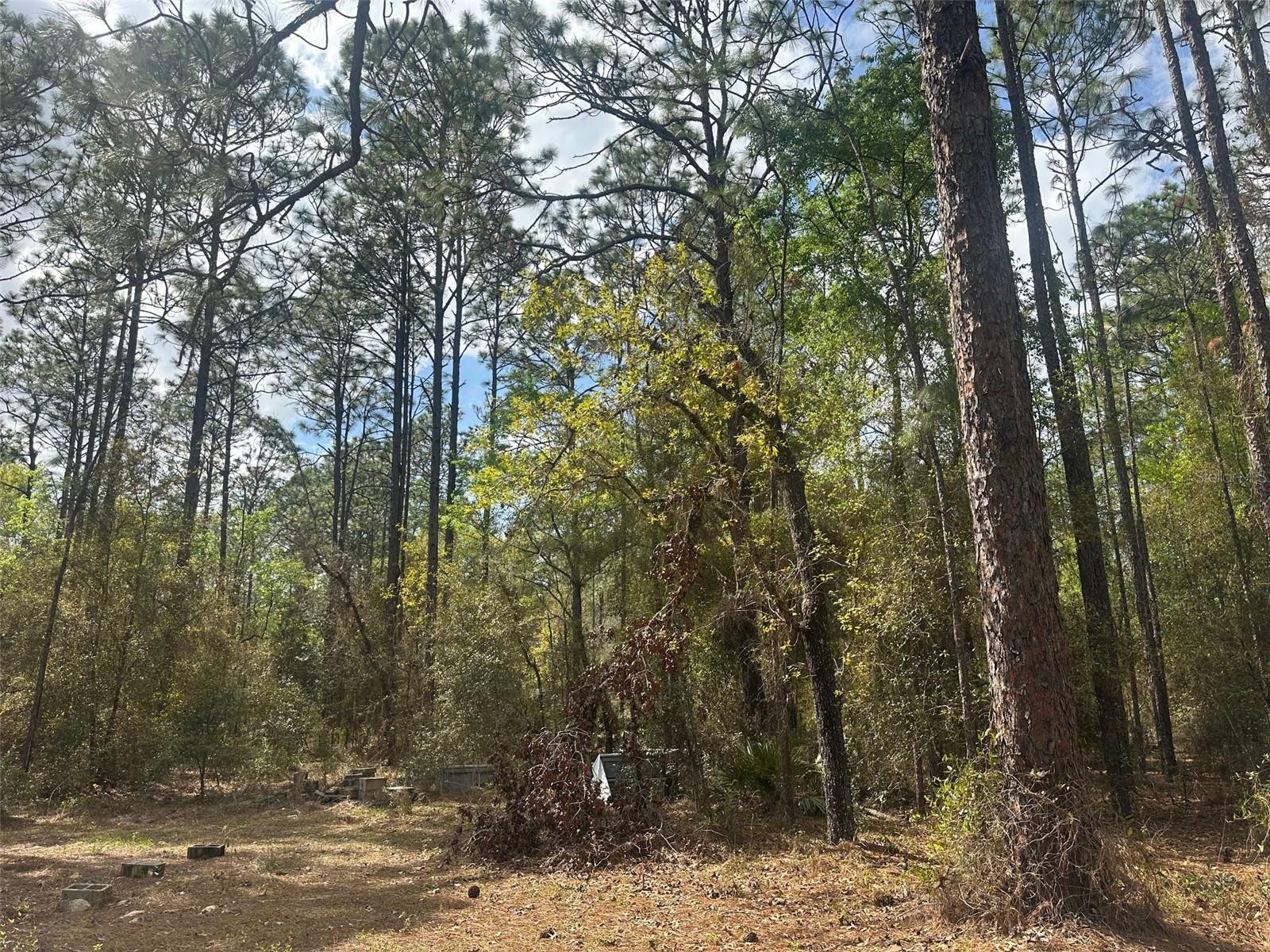 LAKE TROPICANA RANCHETTES - Residential