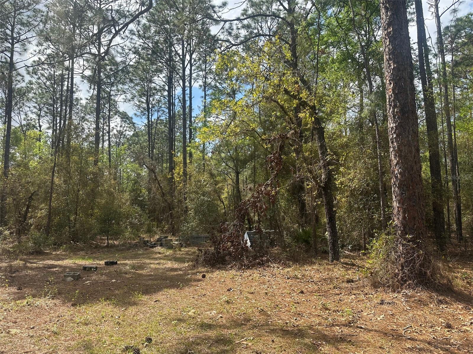 LAKE TROPICANA RANCHETTES - Residential