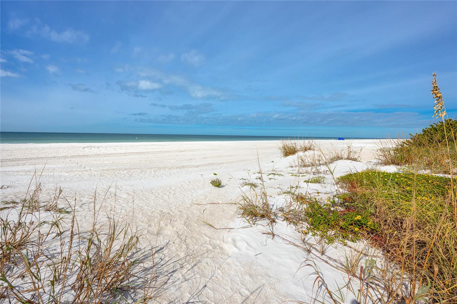 BEACHWALK CONDO INDIAN ROCKS BEACH - Residential