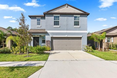 12709 MAPLE BONSAI DRIVE RIVERVIEW FL 33579