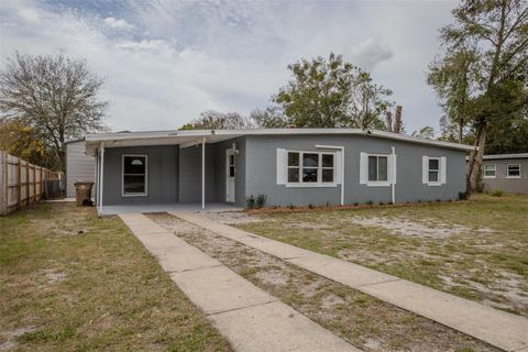 A home in MOUNT DORA