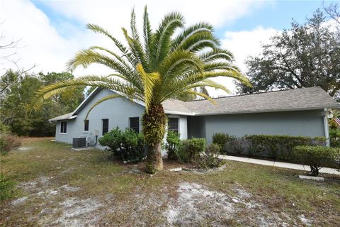 A home in PALM COAST