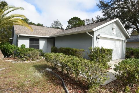 A home in PALM COAST