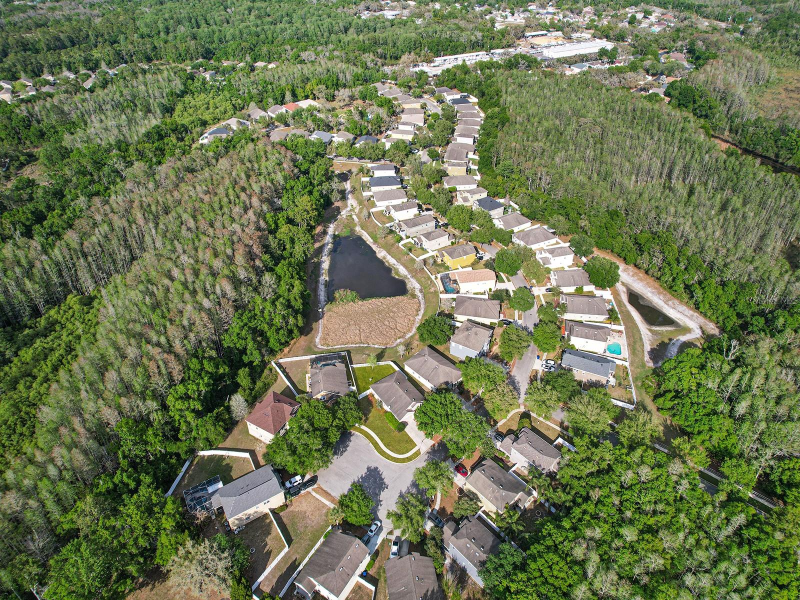 COLONY LAKES - Residential