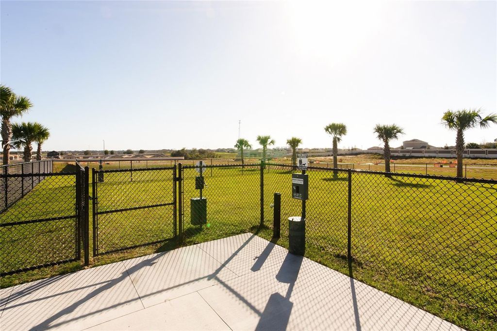 Photo of 1036 Twins Street, Davenport, FL 33837 (MLS # O6411524)