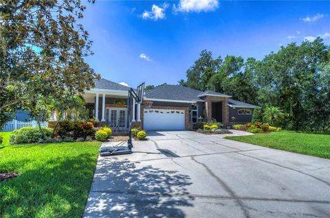 A home in BRANDON