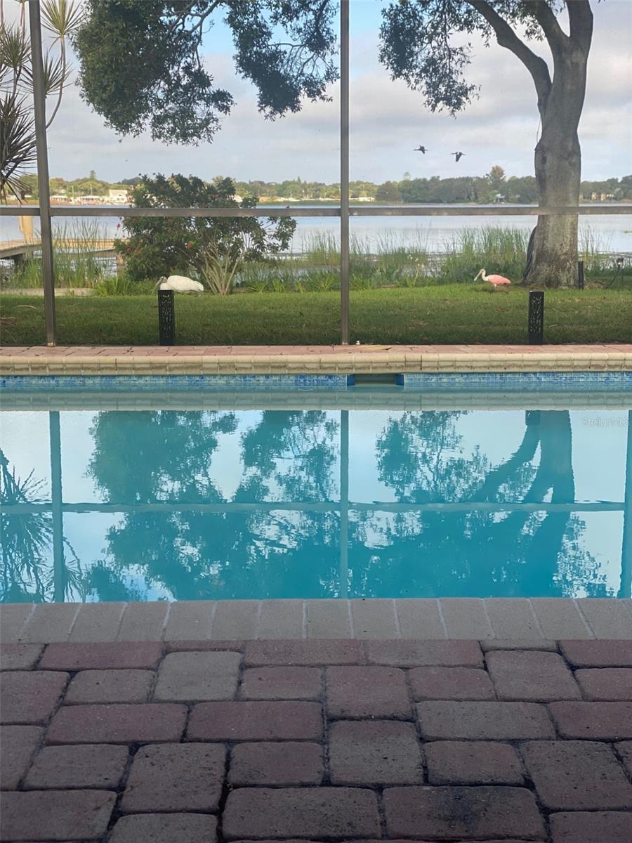 LAKESIDE ESTATES UNIT ONE - Residential Lease