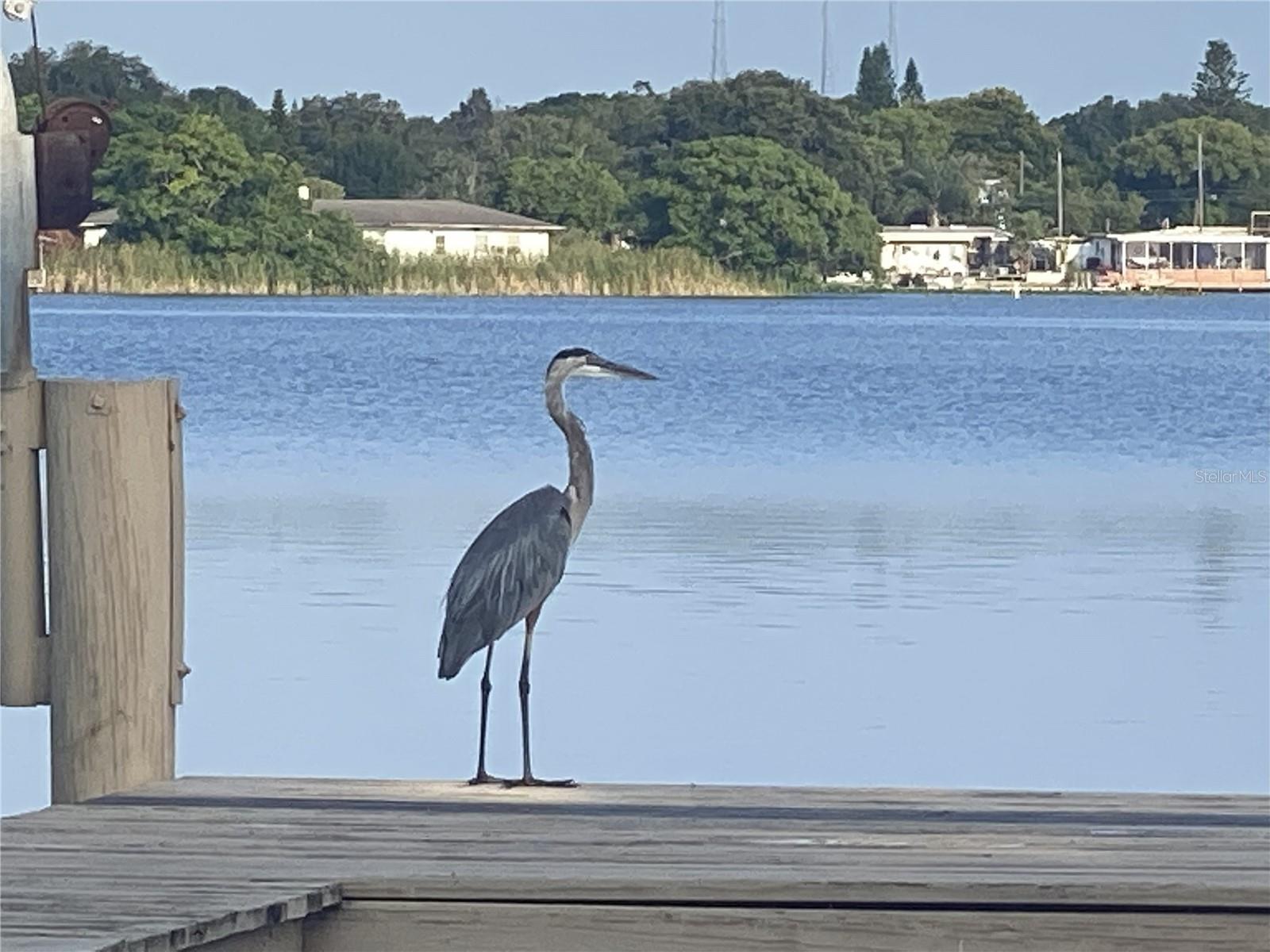 LAKESIDE ESTATES UNIT ONE - Residential Lease