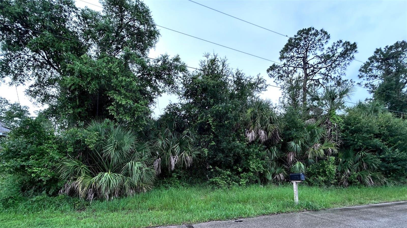 Ready for the FL lifestyle? Want to build your dream home? Looking to add to your investment portfolio? Conveniently located close US-41 and a short drive to shops, restaurants, parks and gulf coast beaches! Enjoy the Florida lifestyle with an abundance of outdoor activities, world class beaches, boating, golfing and more. The Port Charlotte Sports Park is just a 15 min drive, where you can watch the Tampa Bay Rays Baseball team spring training!! No HOA, no CDD fees! Not in a flood zone! All offers must be submitted in writing.