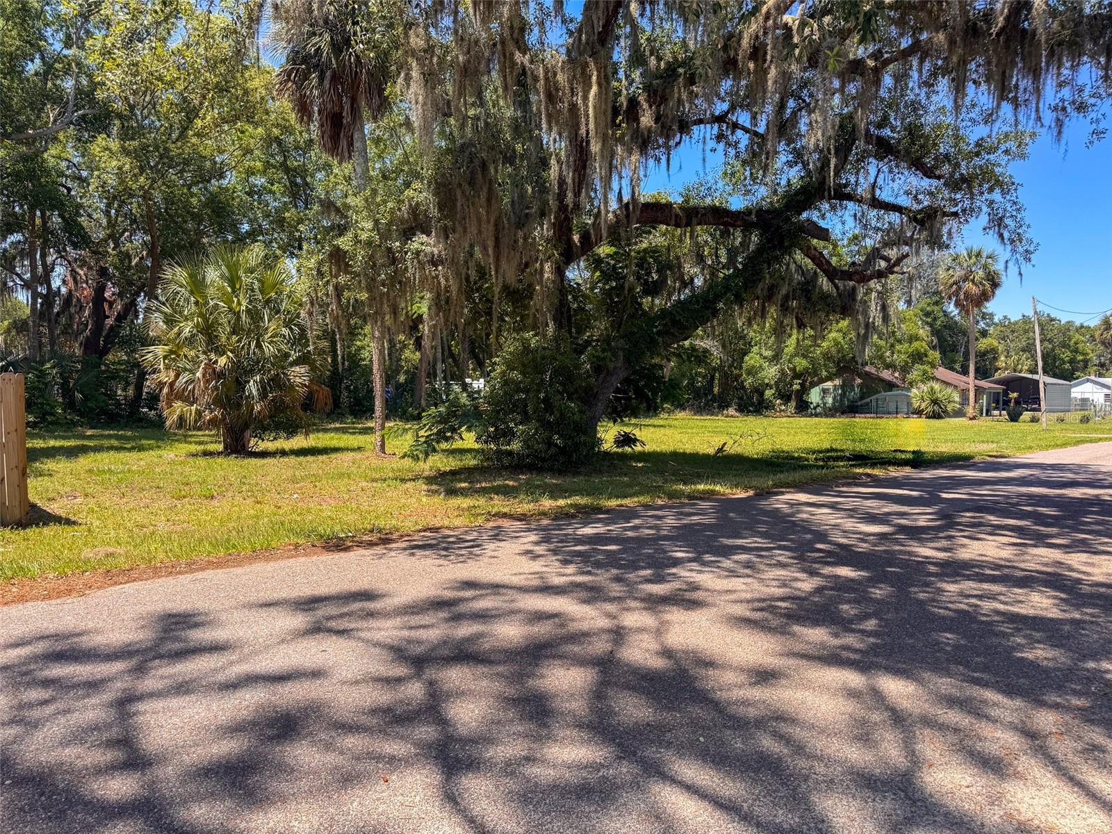 Lot 00200 LENORD STREET