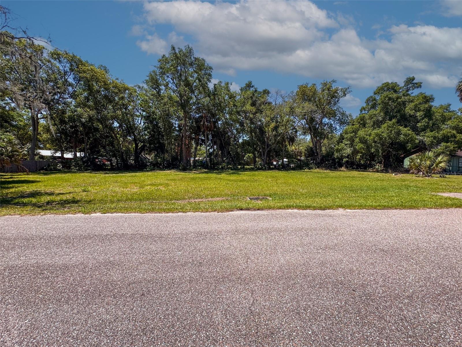 Lot 00200 LENORD STREET