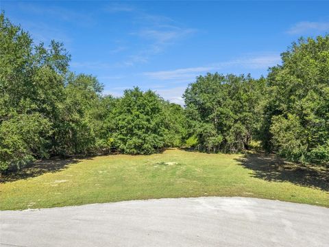 Photo of 18353 Great Blue Heron Drive, Groveland, FL 34736 (MLS # O6408058)
