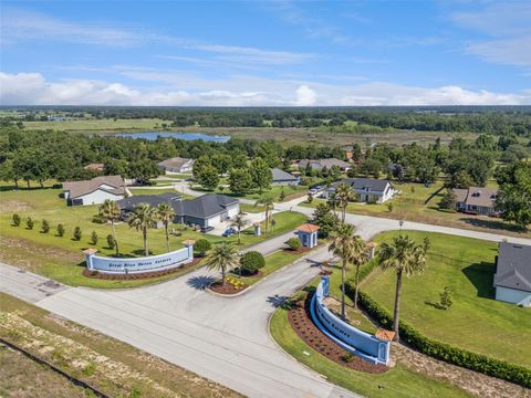 Tiny photo for 18353 Great Blue Heron Drive, Groveland, FL 34736 (MLS # O6408058)