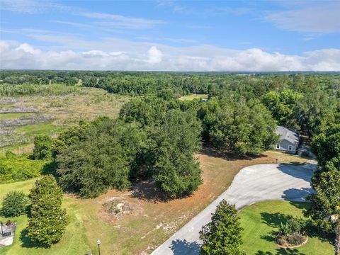 Tiny photo for 18353 Great Blue Heron Drive, Groveland, FL 34736 (MLS # O6408058)