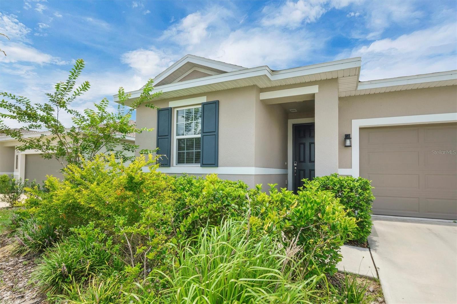 221 HILLTOP BLOOM LOOP