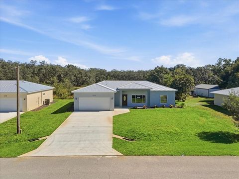 Photo of 3174 N Sedgewick Road, Avon Park, FL 33825 (MLS # A4670413)