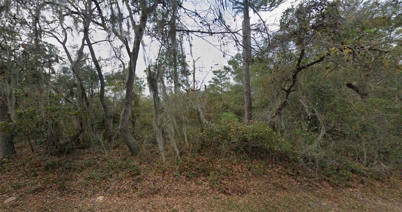 89 COURTLAND BOULEVARD