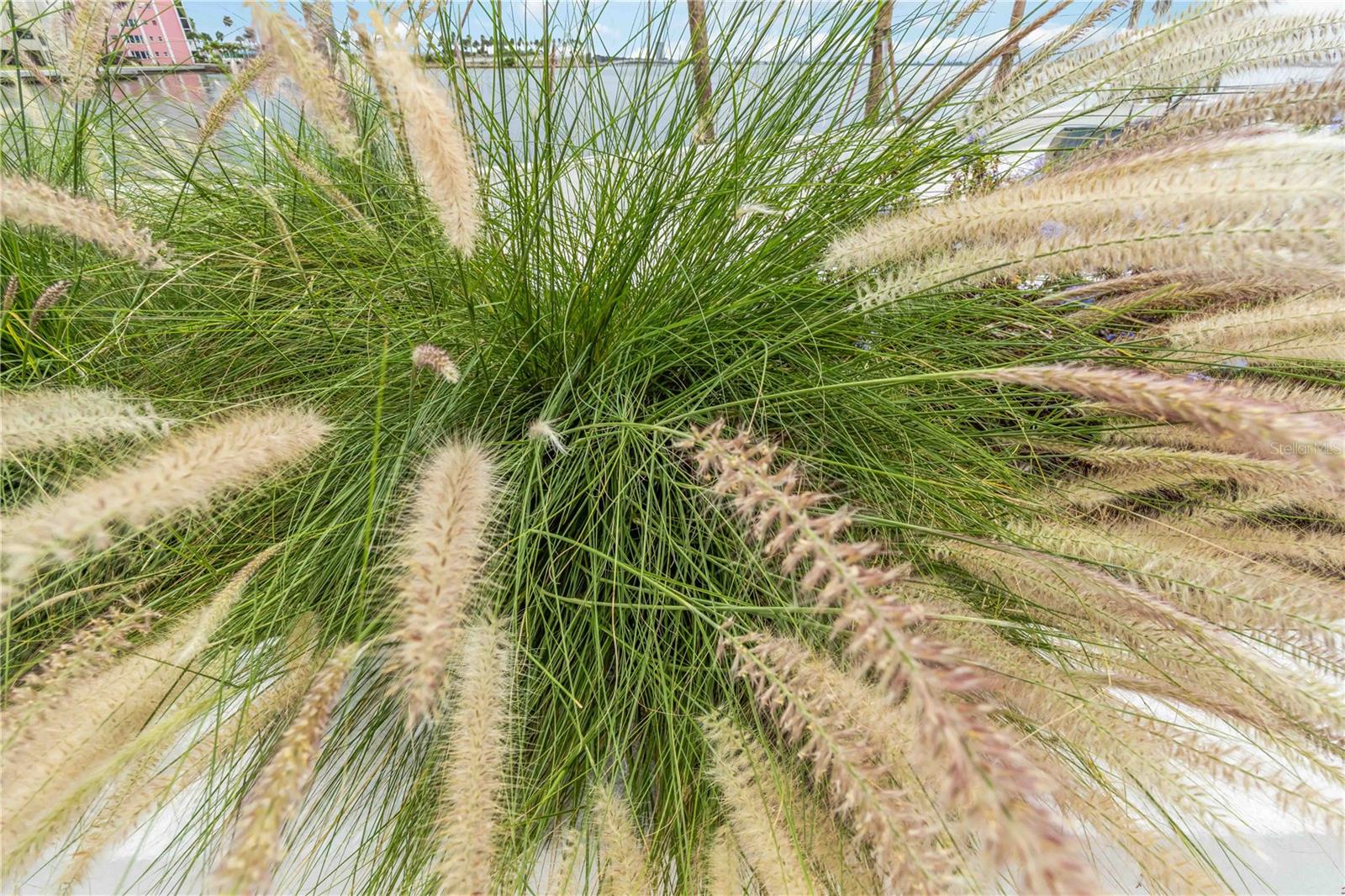 CONDO ON THE BAY TOWER I - Residential