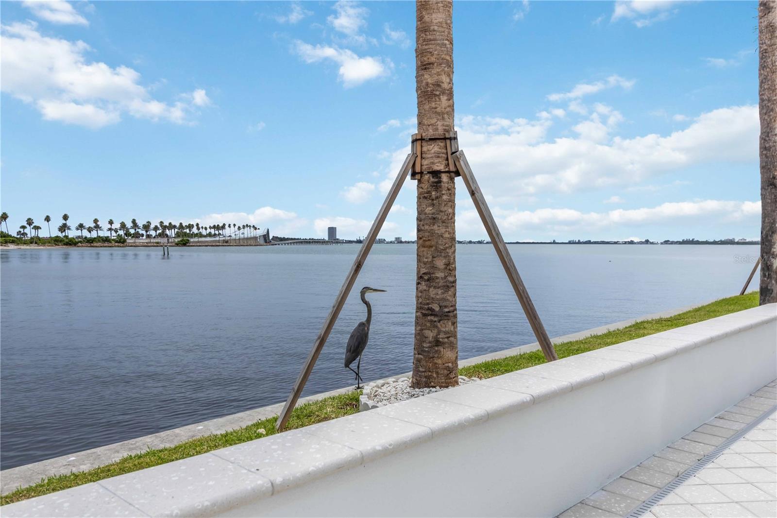 CONDO ON THE BAY TOWER I - Residential