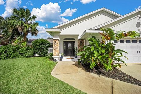 A home in PALM COAST