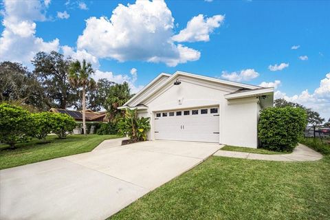 A home in PALM COAST