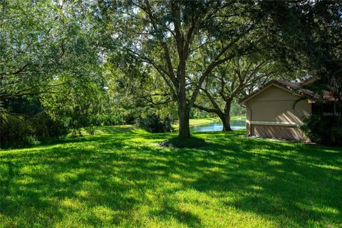 A home in TAMPA