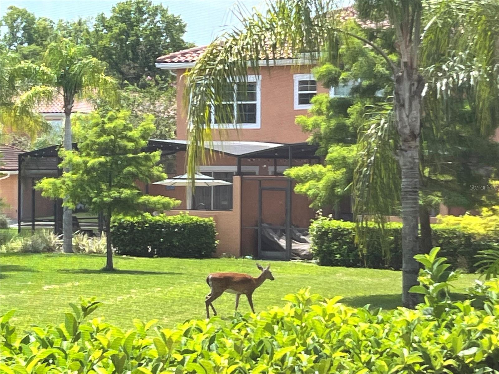 REGAL OAKS AT OLD TOWN - Residential