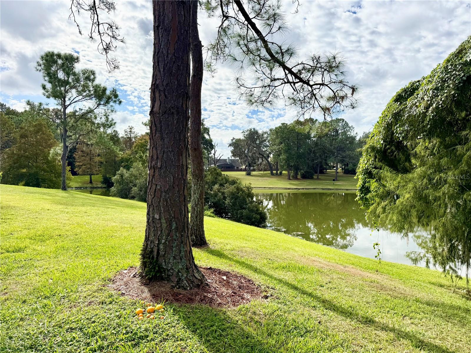 REGENCY PARK AT LAKE MARY A CONDO - Residential Lease
