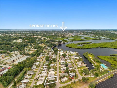 Photo of 752 Driftwood Lane, Tarpon Springs, FL 34689 (MLS # W7890109)